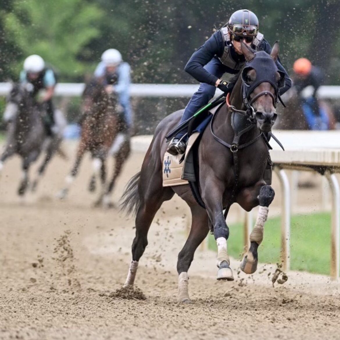 A racehorse and rider working head-on down the dirt track ahead of the field
