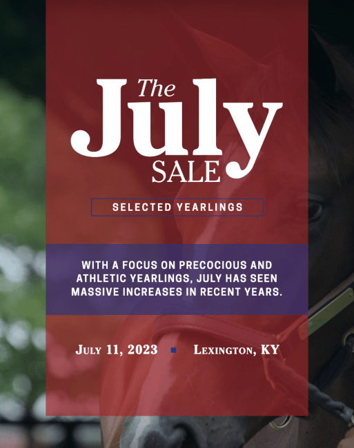 The July Sale 2023
