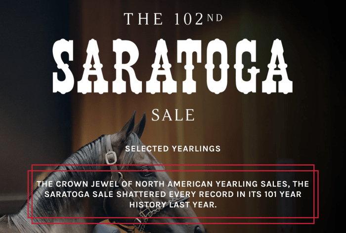 The Saratoga Sale 2023